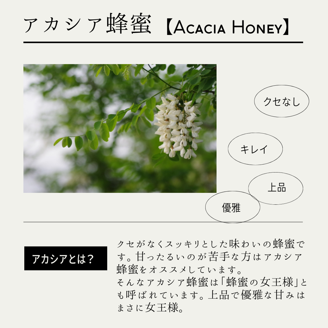 ” すっきり上品で優雅な味わい ”　アカシア蜂蜜 140g